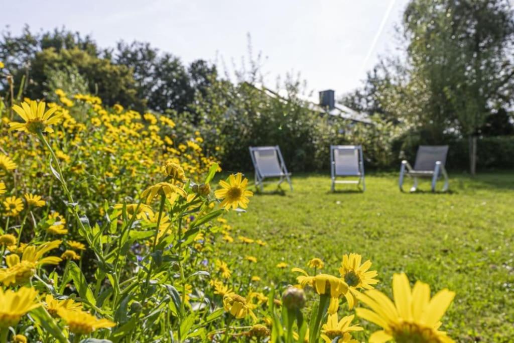 dos sillas sentadas en un campo con flores amarillas en HirschenHof, en Léglise