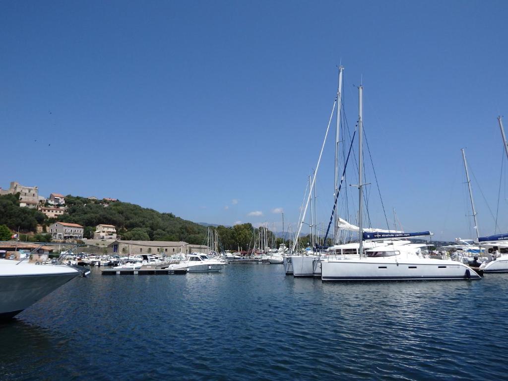 a group of boats are docked in a harbor at Appartement Cité Du Sel in Porto-Vecchio