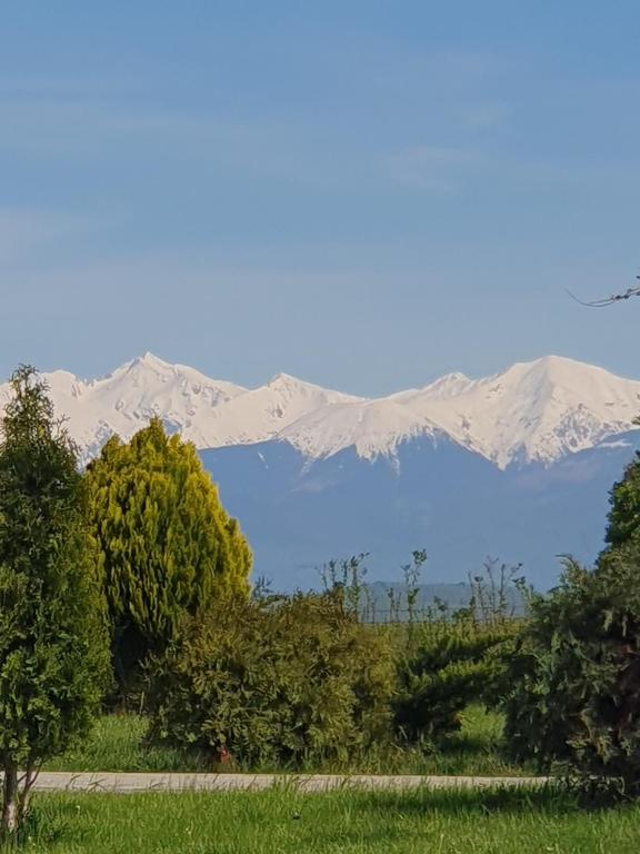 a view of snow covered mountains in the distance at Green apartament in Şelimbăr