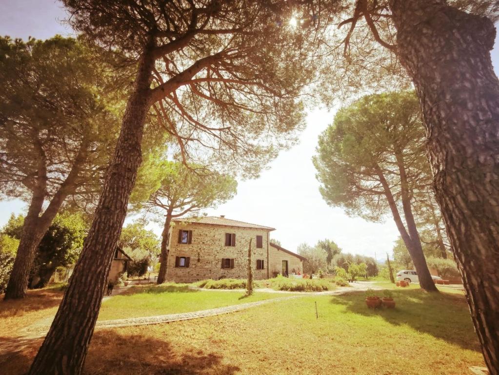 a house in the middle of a field with trees at La Bertinora in Villa Verucchio