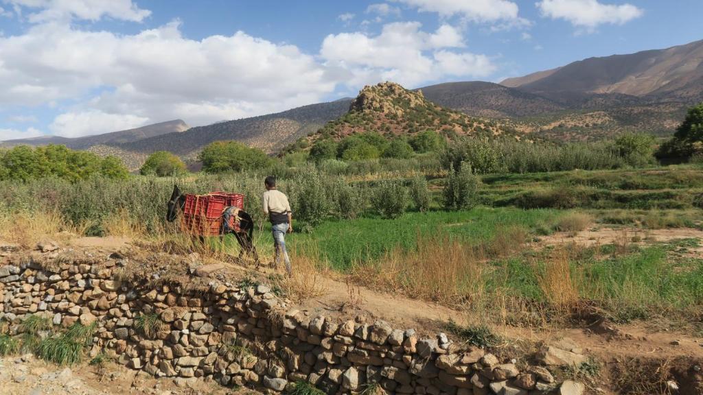 Un paisaje natural cerca de la casa de huéspedes