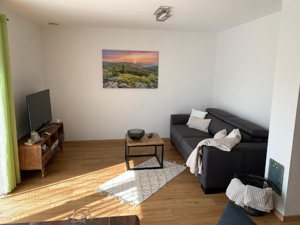 a living room with a couch and a tv at Ferienwohnung Familie Eder in Schönberg