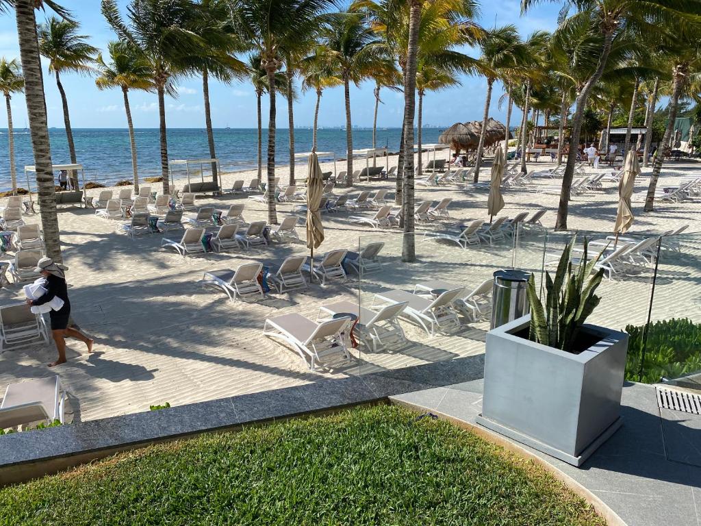 Christmas heaven in Garza Blanca Mexico, CancĂșn (updated prices 2024) Christmas heaven in Garza Blanca Mexico, CancĂșn (updated prices 2024)