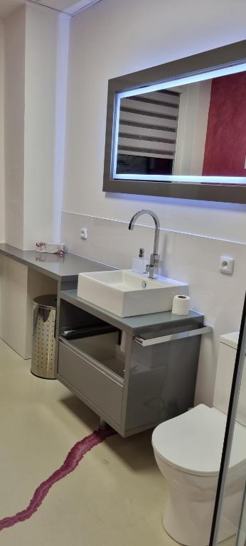 Ένα μπάνιο στο Sluníčkový apartmán A9 v Chomutově