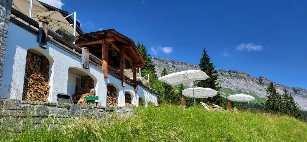Příroda nedaleko apartmánu