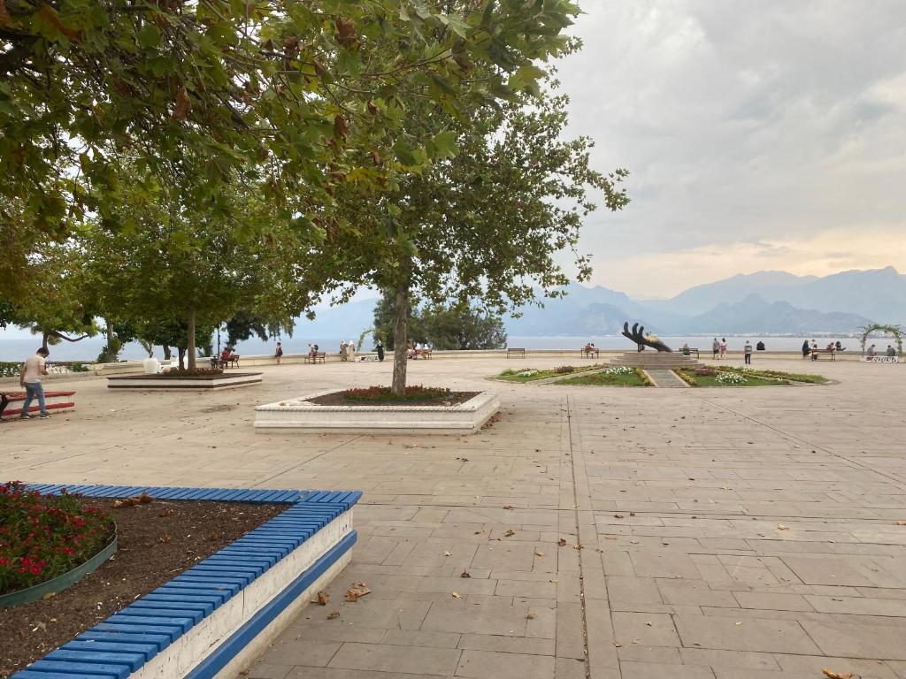 İn The Middle Hotel - 17