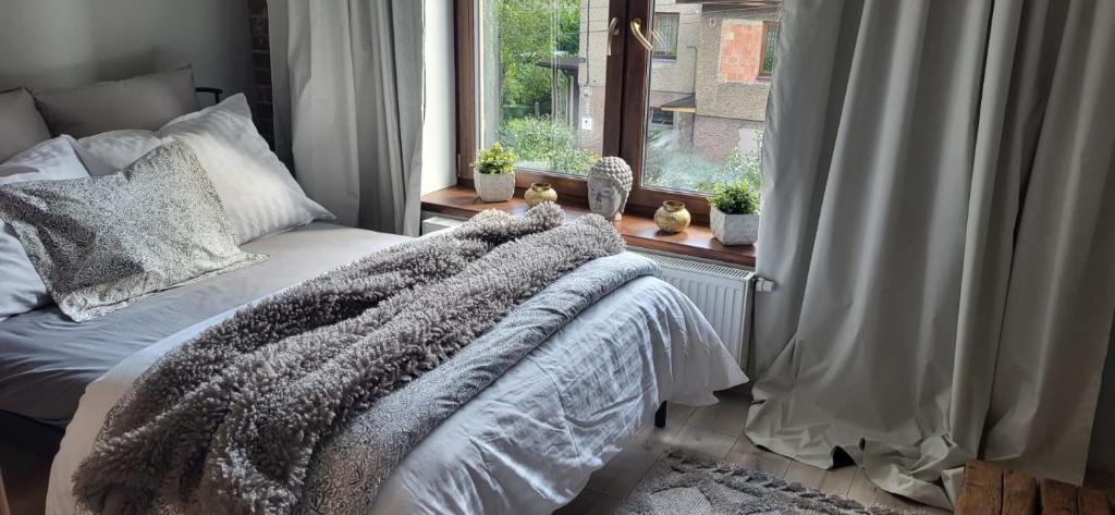 Urocze Studio 7 z parkingiem - 3