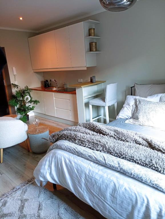 Urocze Studio 7 z parkingiem - 4