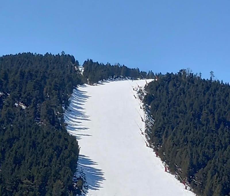 Vue aérienne d'une rivière au milieu d'une forêt dans l'établissement chez olivier et valerie, aux Angles