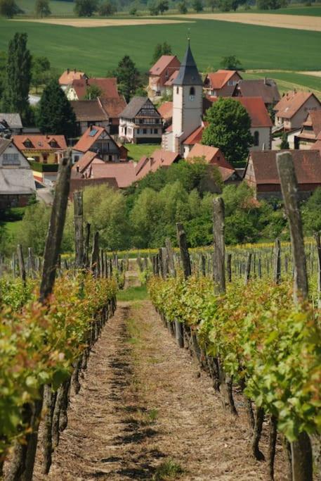 Fotografie z fotogalerie ubytování Gîte Vignoble de Cléebourg v destinaci Cleebourg