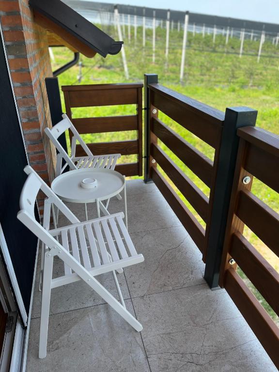 Balkón nebo terasa v ubytování Apartmani Vinarije IN