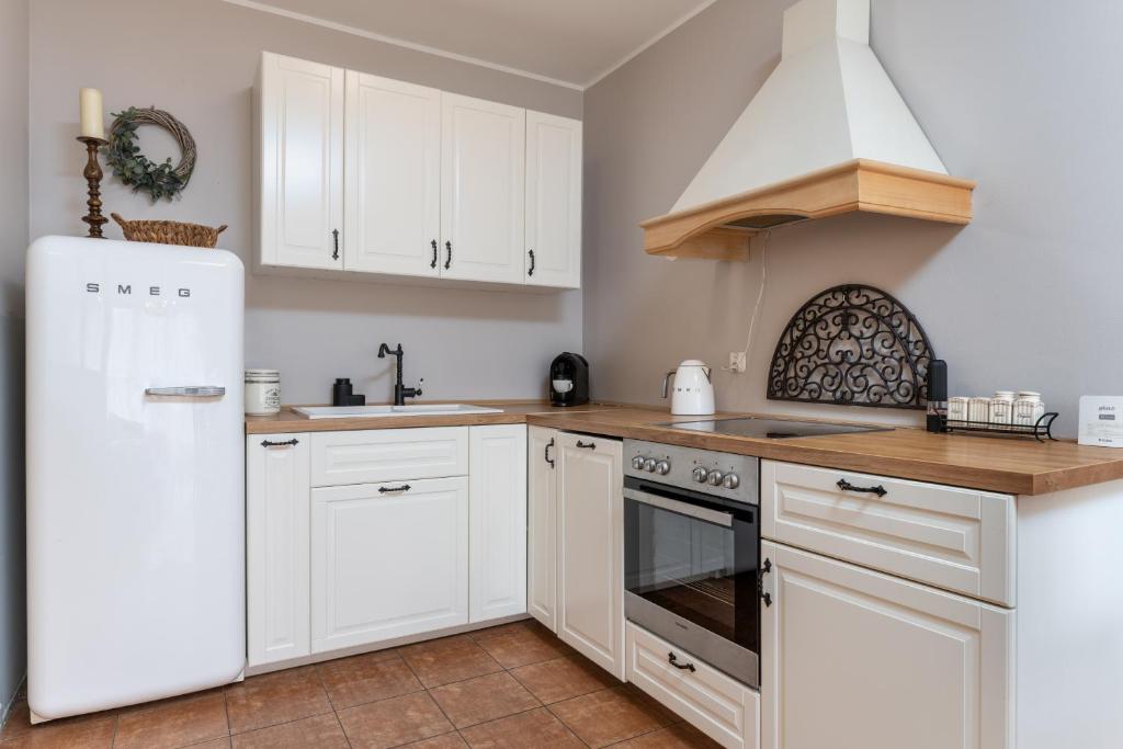 Kuchnia lub aneks kuchenny w obiekcie Apartament Zeta - Zeta Park