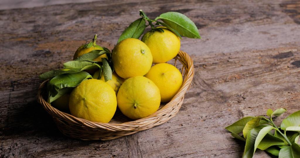 MY HOUSE URBAN LUXURY B&B - 15