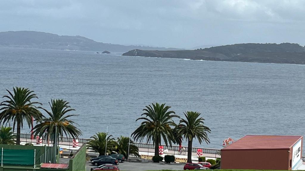 vista su una cassa d'acqua con palme di Maestranzamarycentro a La Coruña