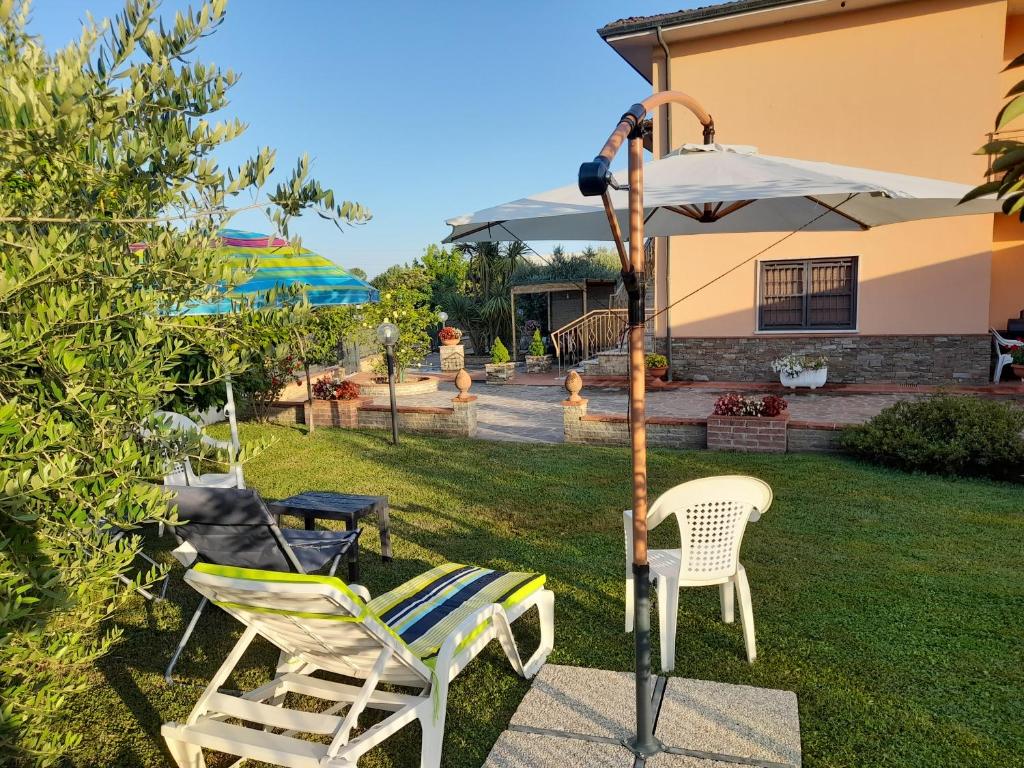 Vonkajšia záhrada v ubytovaní CASA CAMELIA