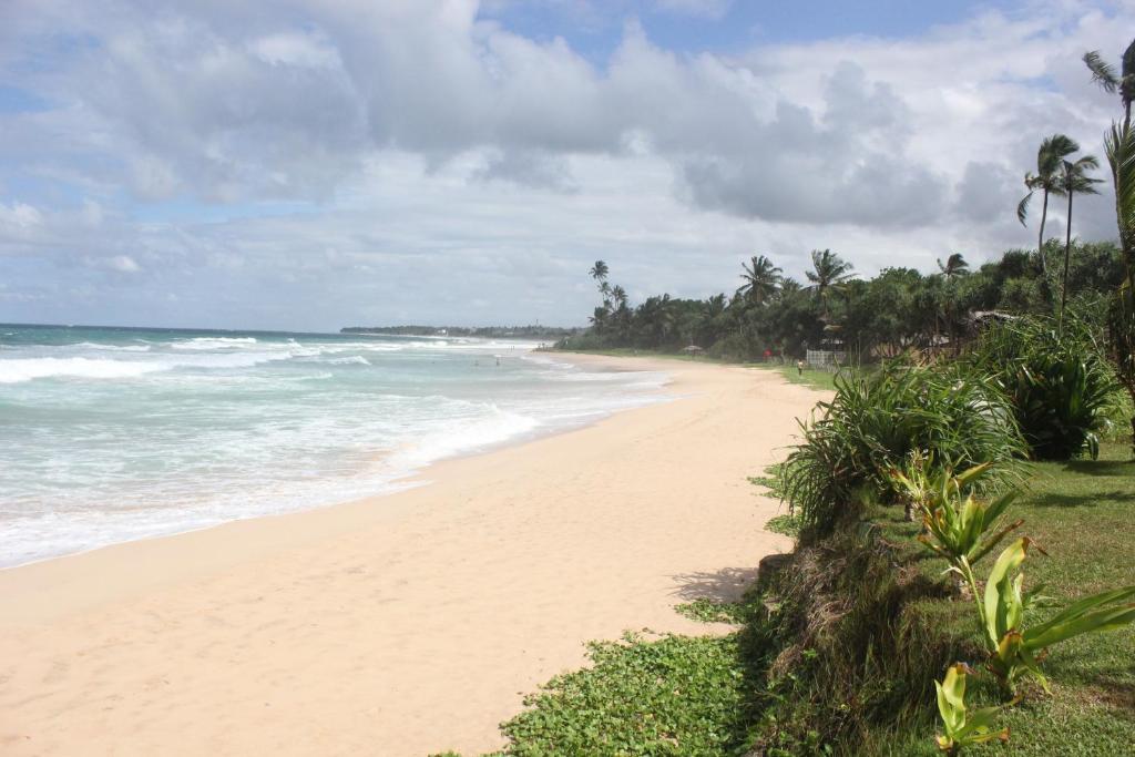 a sandy beach with palm trees and the ocean at The Beach Cabanas Retreat & Spa in Koggala