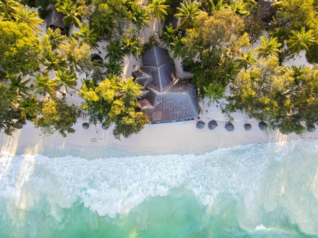 an aerial view of a beach and the ocean at Kinazi Upepo Beach Eco Lodge in Paje