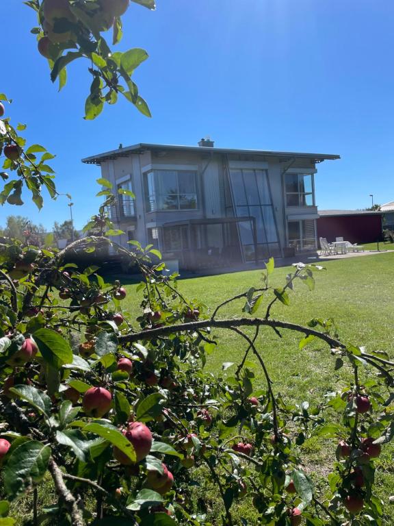 Zahrada ubytování Villa WanderLux