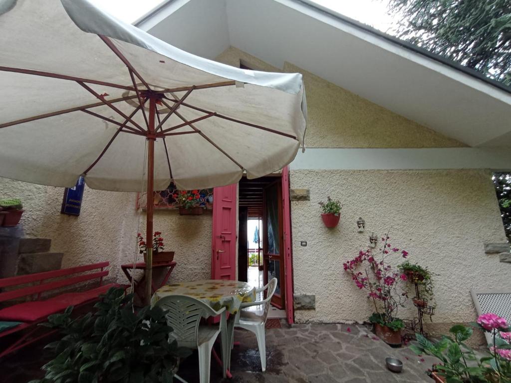 B&B Il Gatto Nero - Housity