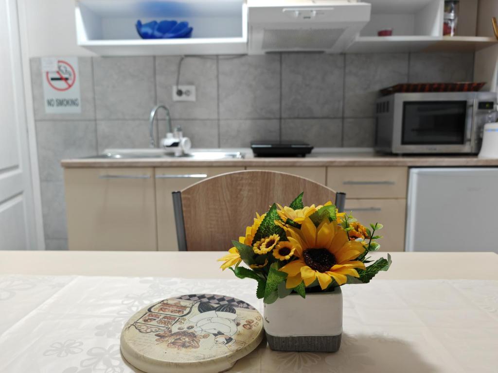 Kuchyň nebo kuchyňský kout v ubytování Apartmani Todorovic