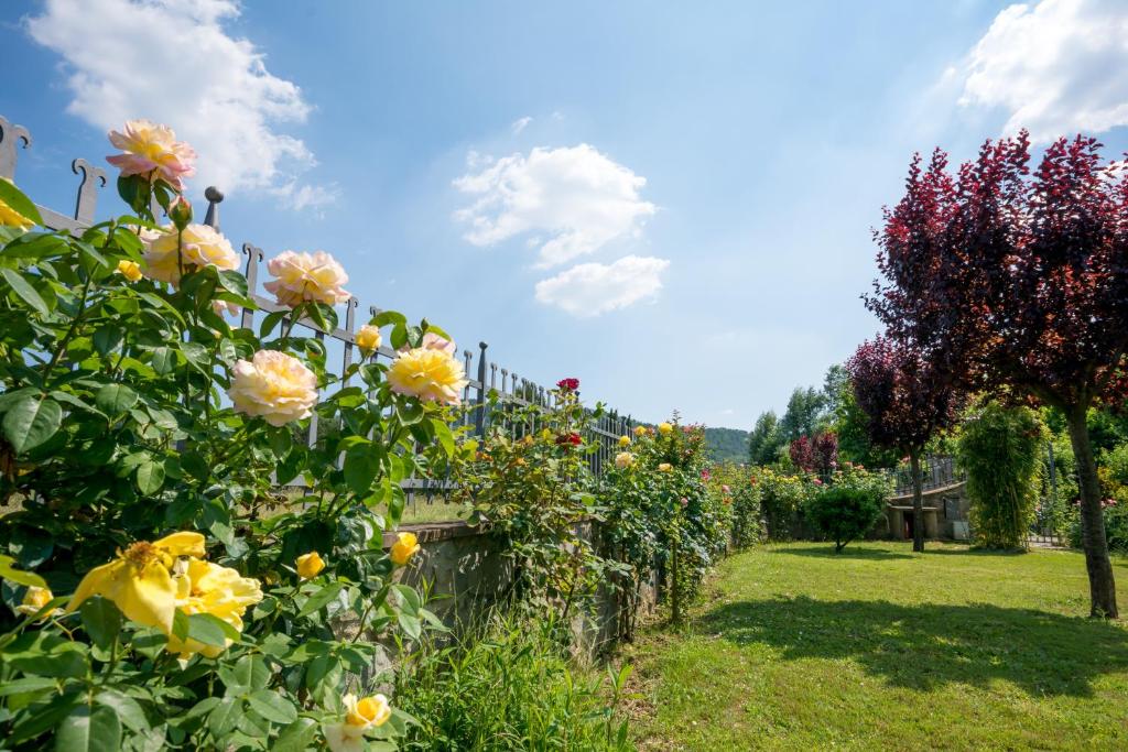 Vonkajšia záhrada v ubytovaní B&B Maesta' Di Cudino