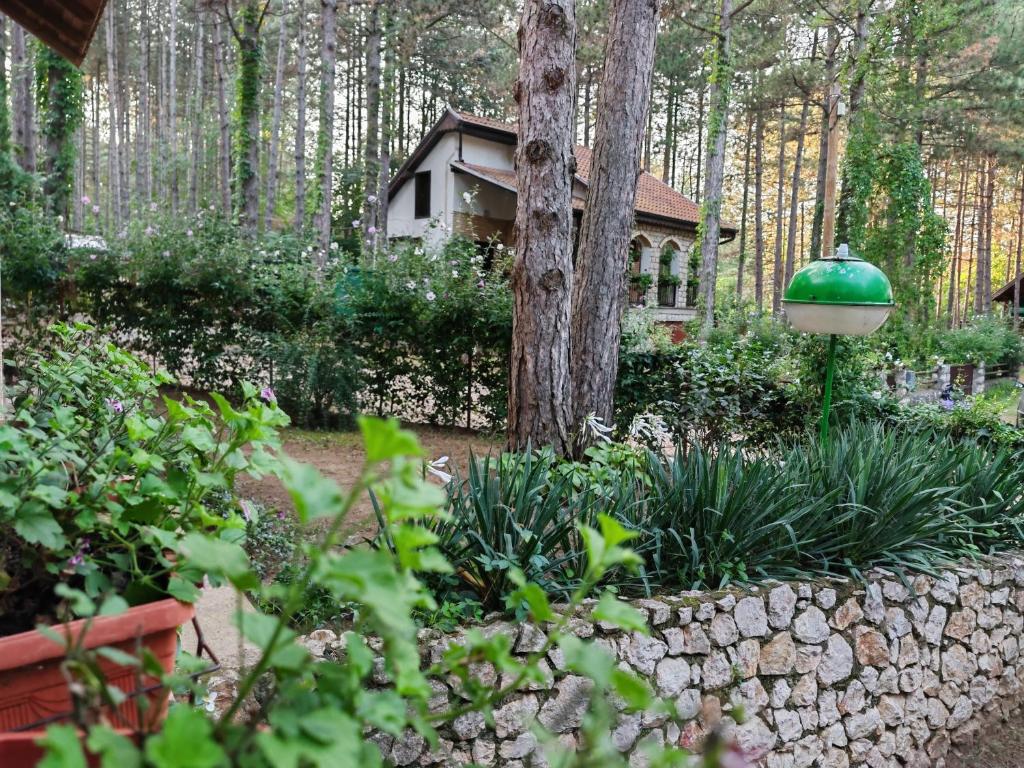 Zahrada ubytování Apartmani Todorovic