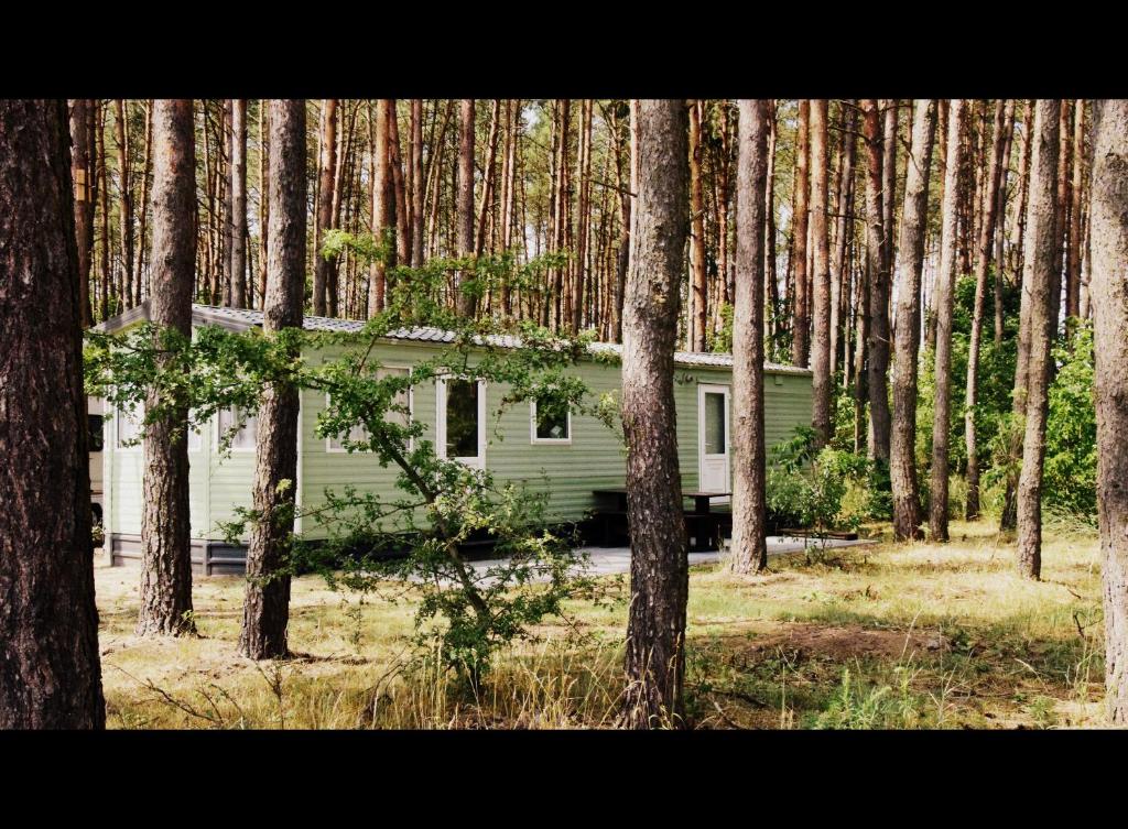 ein grünes Haus mitten im Wald in der Unterkunft Odpocznij w Lesie 