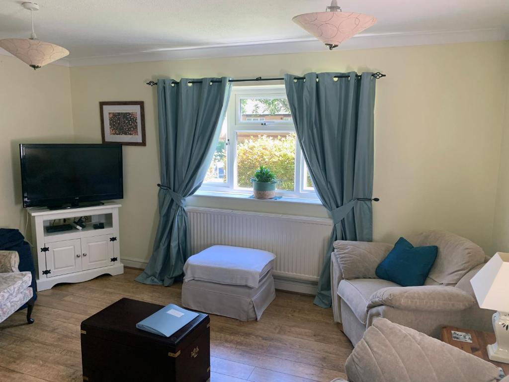 1 Bedroom Apartment Central Basingstoke في باسينغستوك: غرفة معيشة مع أريكة ونافذة