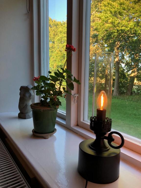 Zahrada ubytování Tullesbo Sätesgård