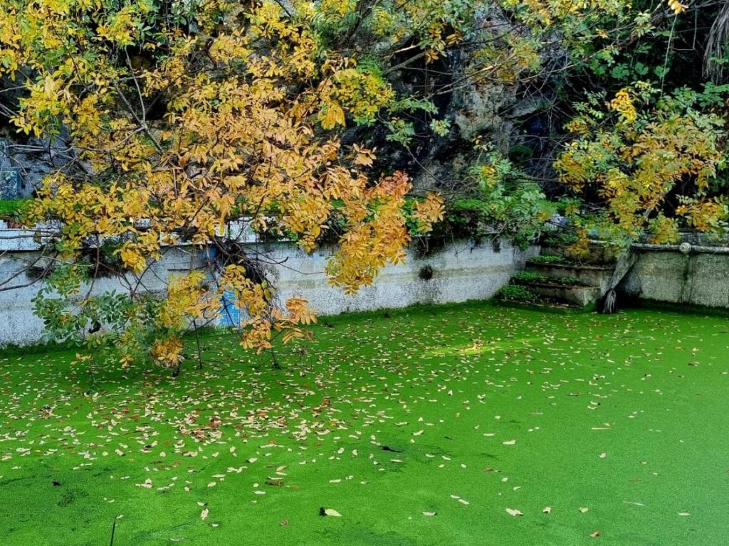 Jardín al aire libre en Centro de Naturaleza Cañada Verde "El Parque de Naturaleza con mas experiencias de Andalucía""