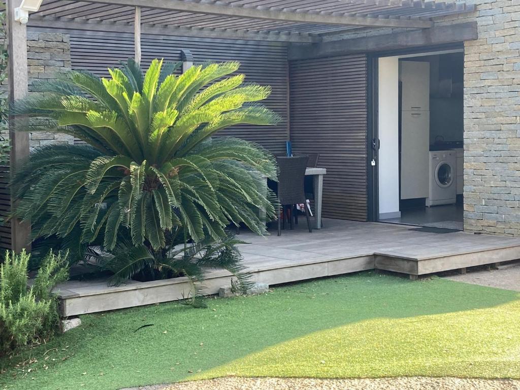 une terrasse avec un palmier à côté d'une maison dans l'établissement Maison vue mer à-5 minutes DE LA VIEILLE VILLE DE PORTO-VECCHIO, à Porto-Vecchio