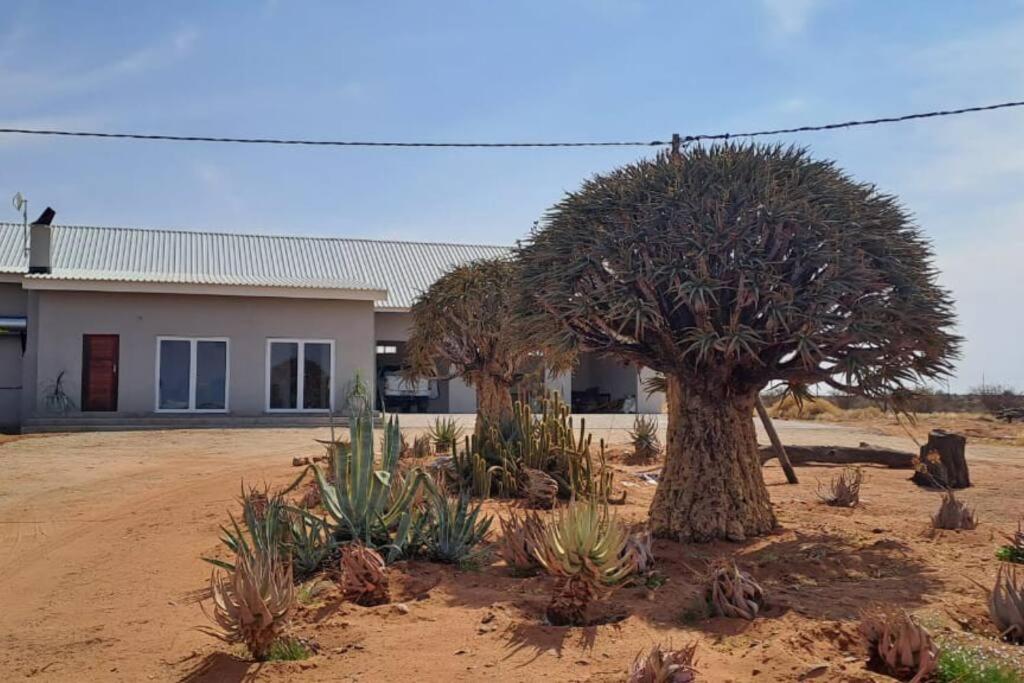 a house with a large tree in front of it at Geelkop Plaashuis in Keimoes