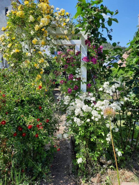 a garden with colorful flowers and a white fence at Neugärten in Busenberg