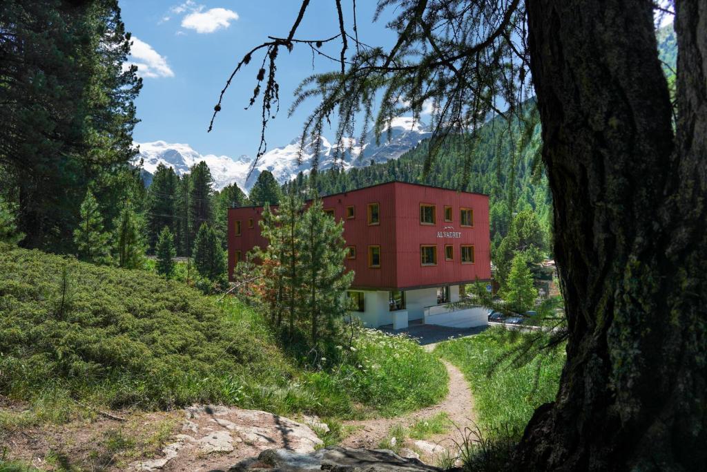 Příroda nedaleko hotelu