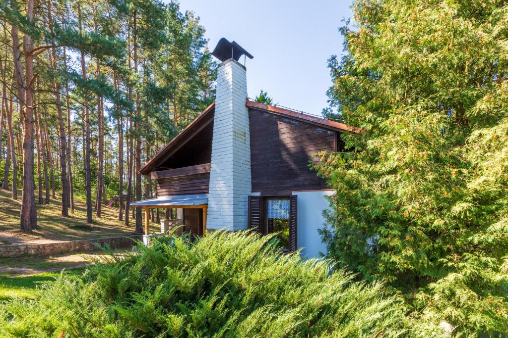 uma casa na floresta com uma chaminé em Apartmány Orlík 2 em Klučenice