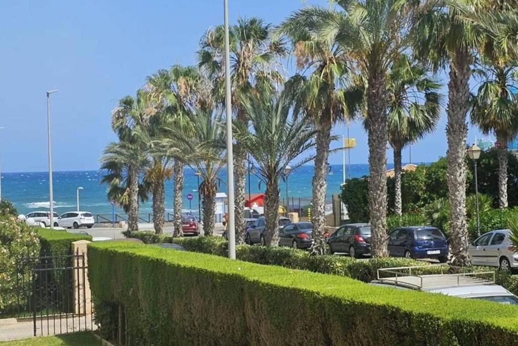 LAS OLAS BEACH 2 في توريفايجا: موقف للسيارات مع أشجار النخيل والمحيط