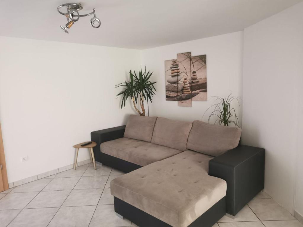 sala de estar con sofá y algunas plantas en Chez Raphaël, en Marckolsheim