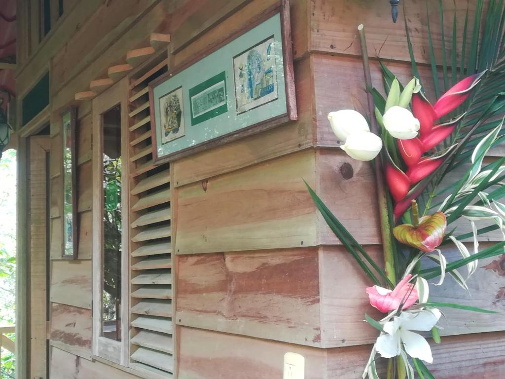 Fotografie z fotogalerie ubytování Corredores del Pacuare v destinaci La Suiza