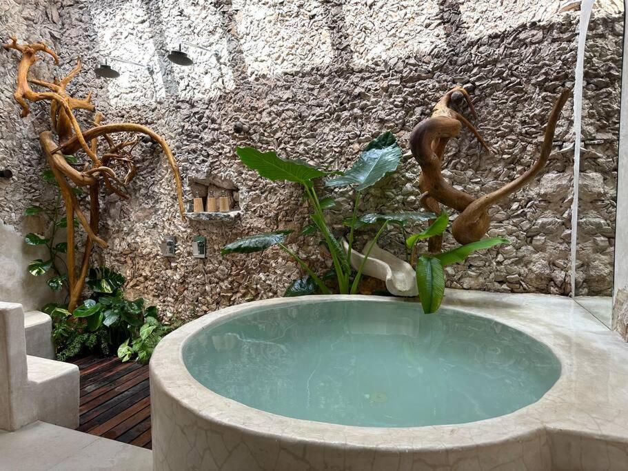a bathroom with a bath tub with a fountain at Cenotefront House 20 min from Chichen Casa Yaxunah 