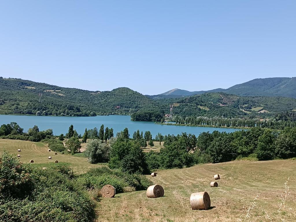 a group of hay bales in a field next to a lake at B&B Staziona e Dormi in Camigliatello Silano