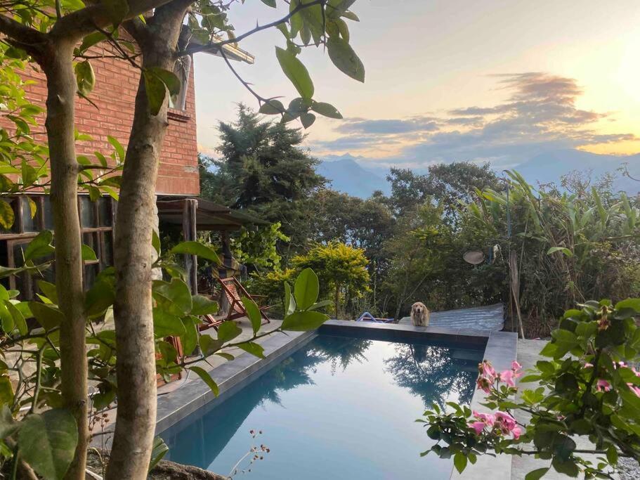 a swimming pool in front of a house at Café Tinto Cabaña Rústica in Coroico