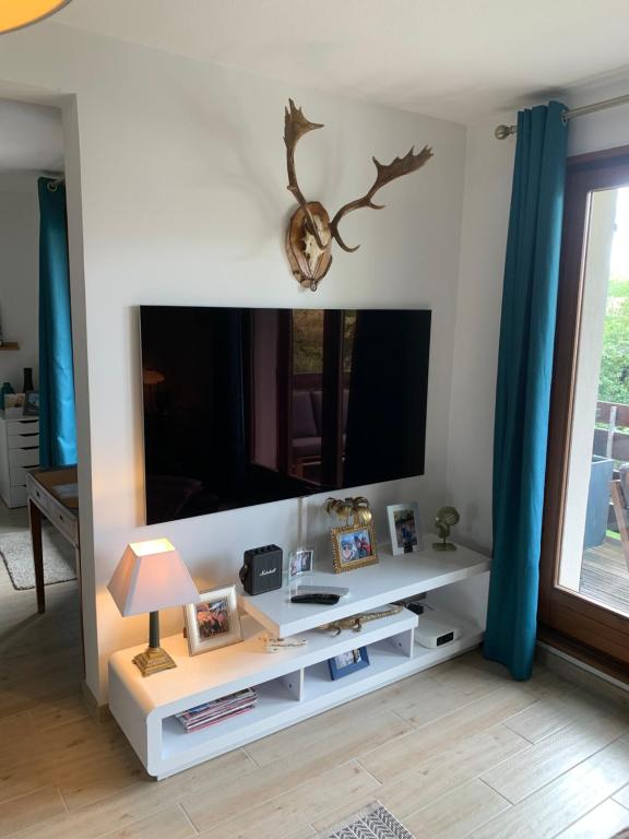 a living room with a large tv and a white shelf at Appartement spacieux et lumineux in Sélestat