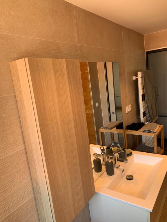 a bathroom with a sink and a mirror at Appartement spacieux et lumineux in Sélestat