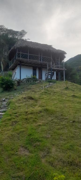 a house with a grass roof on top of a field at Los Mandainos in Santa Marta