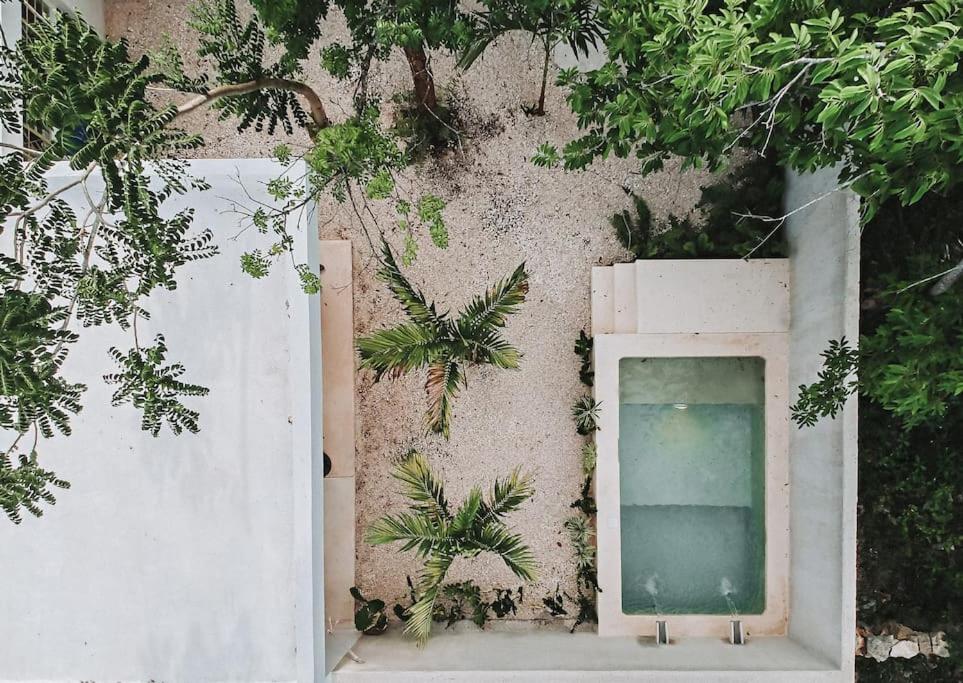 バジャドリドにあるLa Sultana Amazing new house with poolの植物の壁の側面