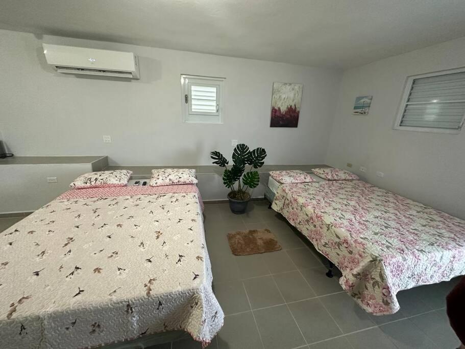 a bedroom with two beds and a potted plant at OceanView 2 in Guayama