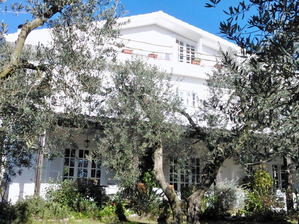a white building with trees in front of it at B&B Villa Ada in Formia