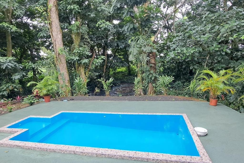 une piscine bleue dans une cour arborée dans l'établissement Casa Montaña & Spa Pital de San Carlos Costa Rica, à Pital
