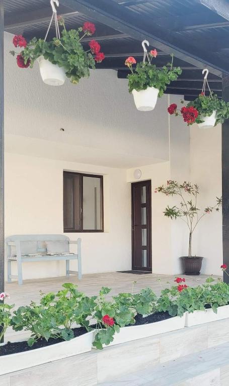 Zahrada ubytování Casa Domnească