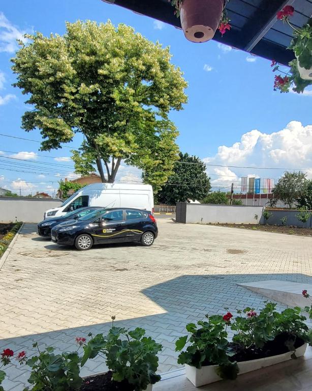 Fotografie z fotogalerie ubytování Casa Domnească v destinaci Giurgiu